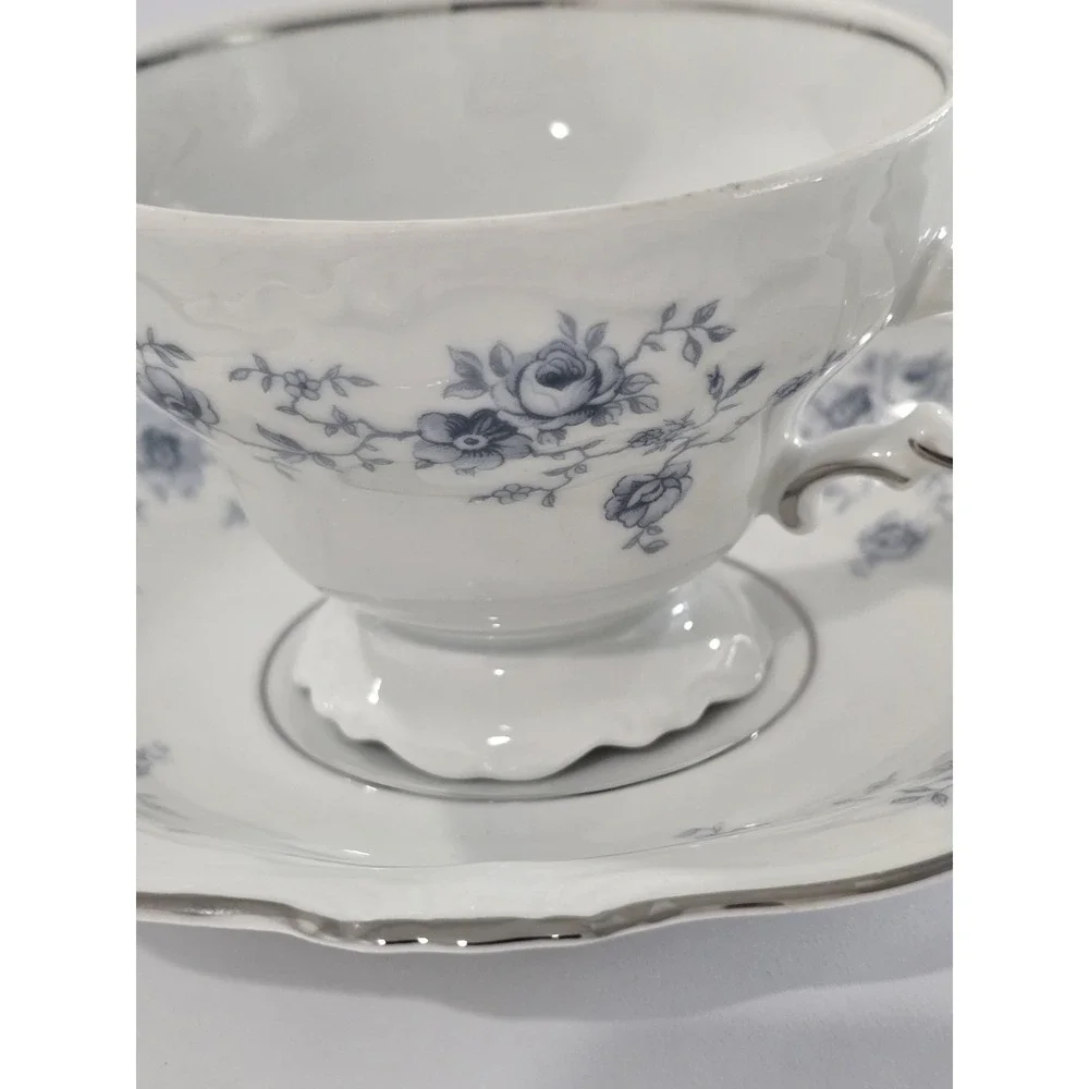 Johann Haviland Blue Garland Tea Cup & Saucer Bavaria Germany Vintage